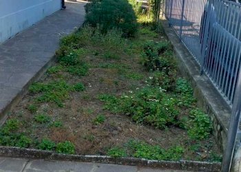 IMG-20240710-WA0007.jpg - Porzione di casa Viale Veneto 113, Riccione - foto 21