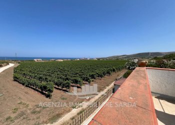 Immagine WhatsApp 2024-07-31 ore 16.38.22_41652001 - Villa Sorso - foto 7