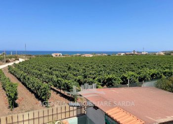 Immagine WhatsApp 2024-07-31 ore 16.38.21_085f7673 - Villa Sorso - foto 1