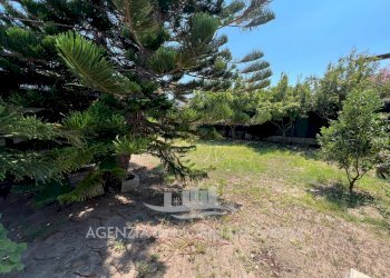 Immagine WhatsApp 2024-07-31 ore 16.39.04_5ffdf9b0 - Villa Sorso - foto 10