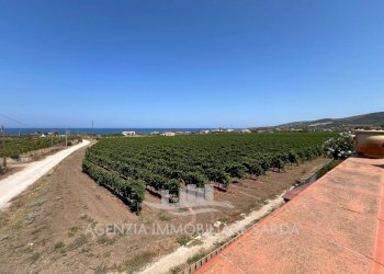 Immagine WhatsApp 2024-07-31 ore 16.38.22_b3a9c880 - Villa Sorso - foto 27