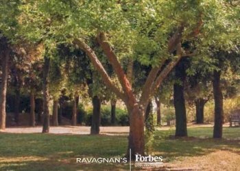 Villa isola crevan, Venezia - foto 7