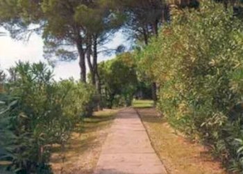 Villa isola crevan, Venezia - foto 10