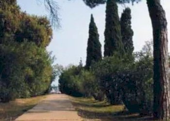 Villa isola crevan, Venezia - foto 11