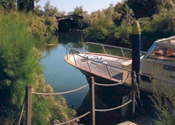 Villa isola crevan, Venezia - foto 25