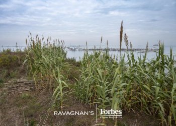 Terreno edificabile Venezia - foto 60