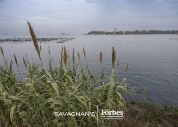 Terreno edificabile Venezia - foto 62