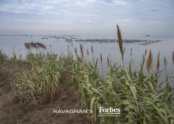 Terreno edificabile Venezia - foto 63