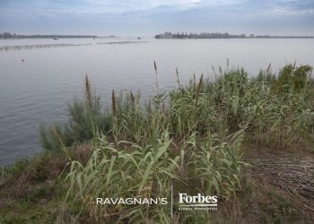 Terreno edificabile Venezia - foto 64