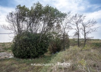 Terreno edificabile Venezia - foto 65