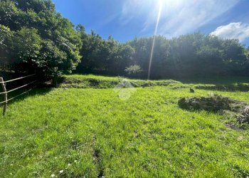 Agricultural land Via XXV aprile, Sant'Olcese - photo 4