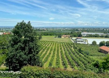 Villa Saluzzo - foto 8