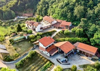 Azienda agricola Castiglione Torinese - foto 1