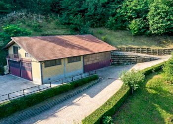 Azienda agricola Castiglione Torinese - foto 7