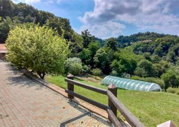 Azienda agricola Castiglione Torinese - foto 11