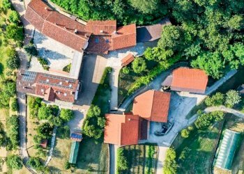 Azienda agricola Castiglione Torinese - foto 22