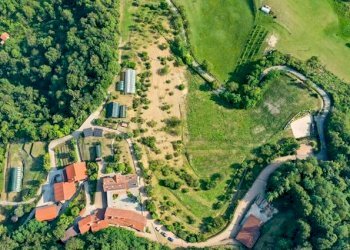 Azienda agricola Castiglione Torinese - foto 23
