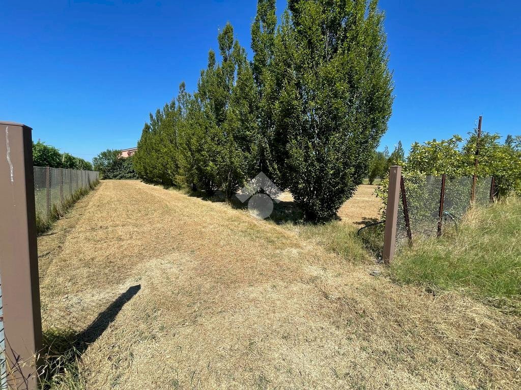 Independent house Via Torrazza, Cotignola - photo 3