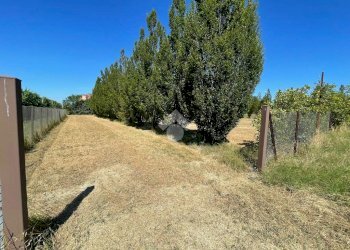 Casa indipendente Via Torrazza, Cotignola - foto 3