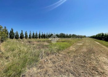 Casa indipendente Via Torrazza, Cotignola - foto 4