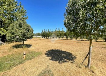 Casa indipendente Via Torrazza, Cotignola - foto 19