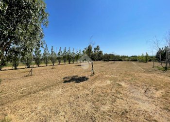 Casa indipendente Via Torrazza, Cotignola - foto 20