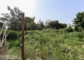 Porzione di casa Frazione san luca, 40, Villafranca Piemonte - foto 48