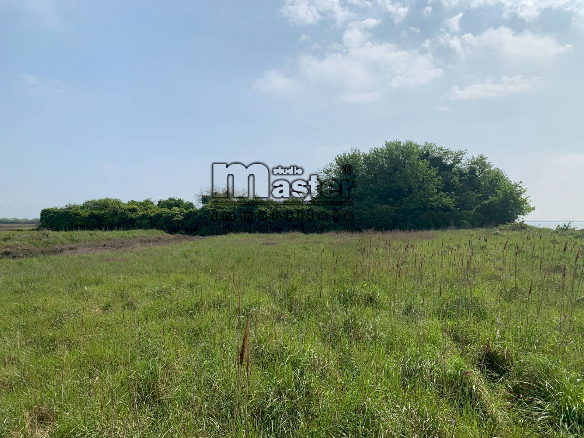Agricultural land Venezia - photo 3