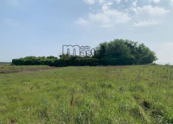 Agricultural land Venezia - photo 3