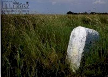 Agricultural land Venezia - photo 9
