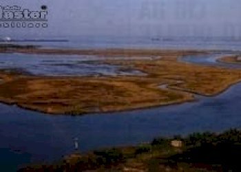 Agricultural land Venezia - photo 10