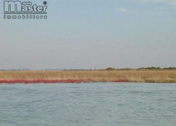 Agricultural land Venezia - photo 11