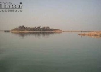 Agricultural land Venezia - photo 12