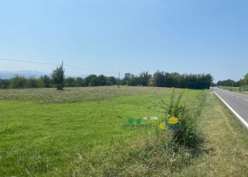 Terreno edificabile Strada Cornaccina 50, Medesano - foto 5