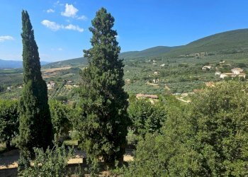 appartamento borgo giardino (11).jpg - Appartamento Via della Lungara 49, Montecchio - foto 22