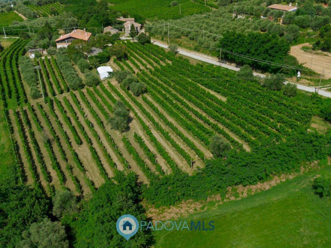 foto_3.jpg - Casa indipendente Via Sassoni, Cinto Euganeo - foto 3