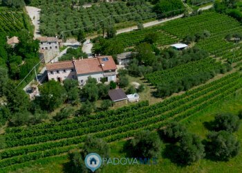 foto_2.jpg - Casa indipendente Via Sassoni, Cinto Euganeo - foto 2