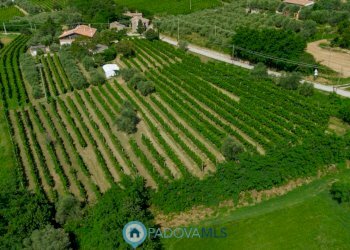 foto_3.jpg - Casa indipendente Via Sassoni, Cinto Euganeo - foto 3