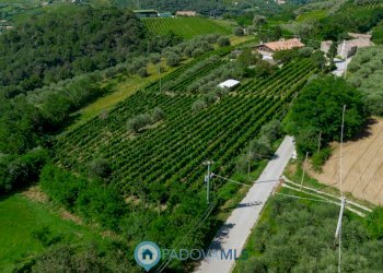 foto_4.jpg - Casa indipendente Via Sassoni, Cinto Euganeo - foto 4