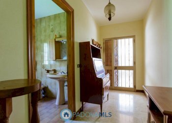 foto_30.jpg - Casa indipendente Via Sassoni, Cinto Euganeo - foto 30