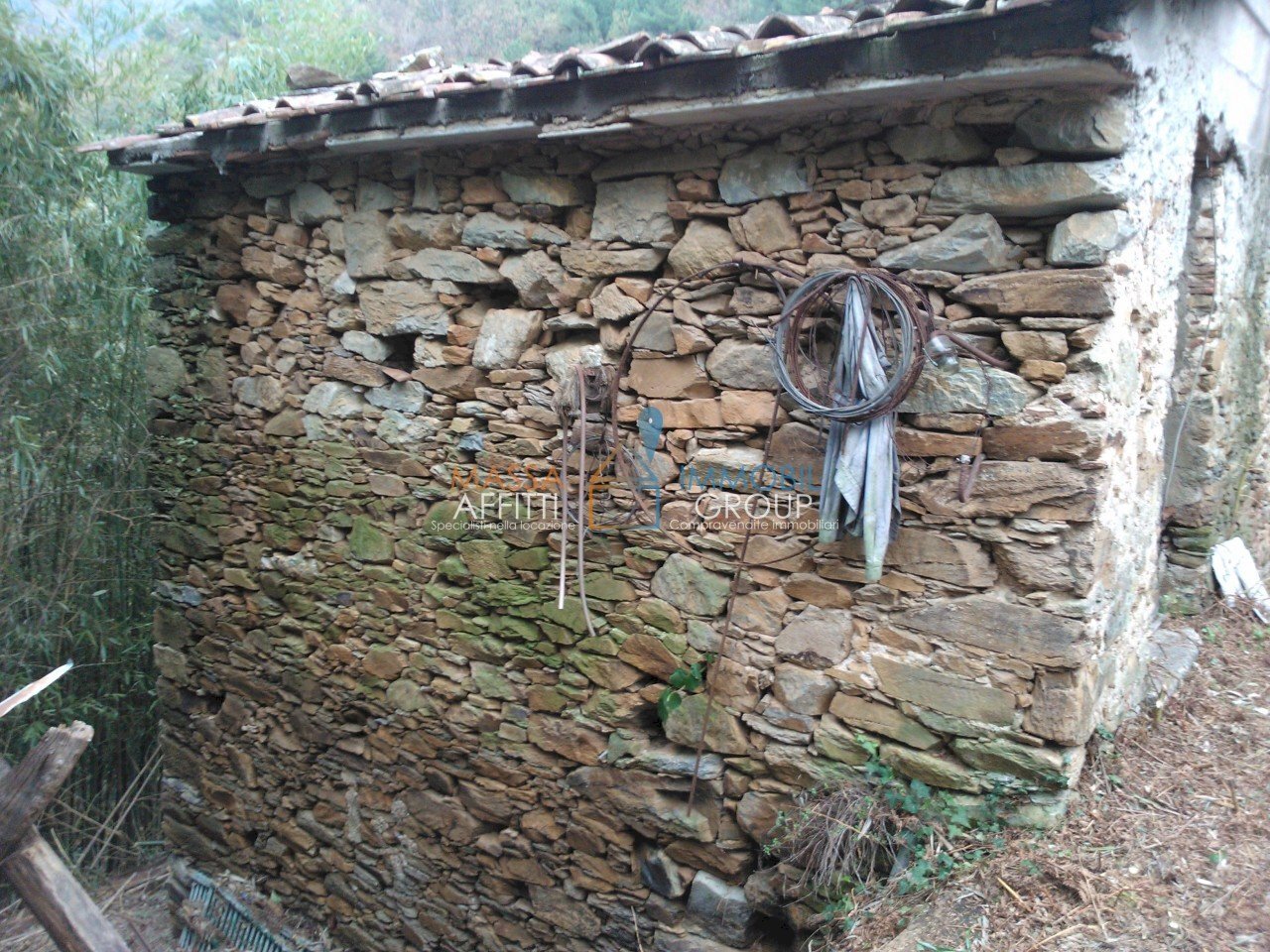 WP_000054.jpg - Rustic Via Borgo Vallecchia 5, Pietrasanta - photo 3