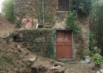 WP_000048.jpg - Rustico Via Borgo Vallecchia 5, Pietrasanta - foto 1