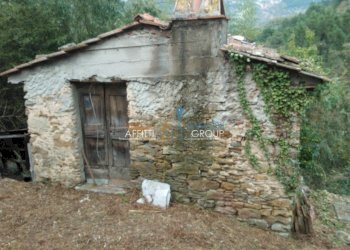 WP_000050.jpg - Rustico Via Borgo Vallecchia 5, Pietrasanta - foto 2