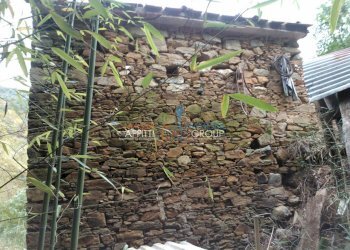 WP_000056.jpg - Rustico Via Borgo Vallecchia 5, Pietrasanta - foto 4