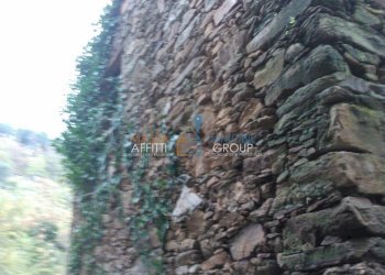 WP_000060.jpg - Rustico Via Borgo Vallecchia 5, Pietrasanta - foto 5