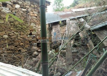 WP_000058.jpg - Rustico Via Borgo Vallecchia 5, Pietrasanta - foto 6