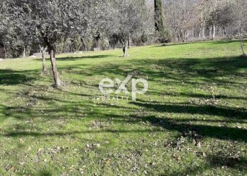 Quadrilocale Mulazzo - foto 19