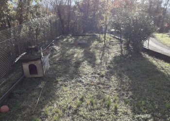 Casa indipendente Aulla - foto 6