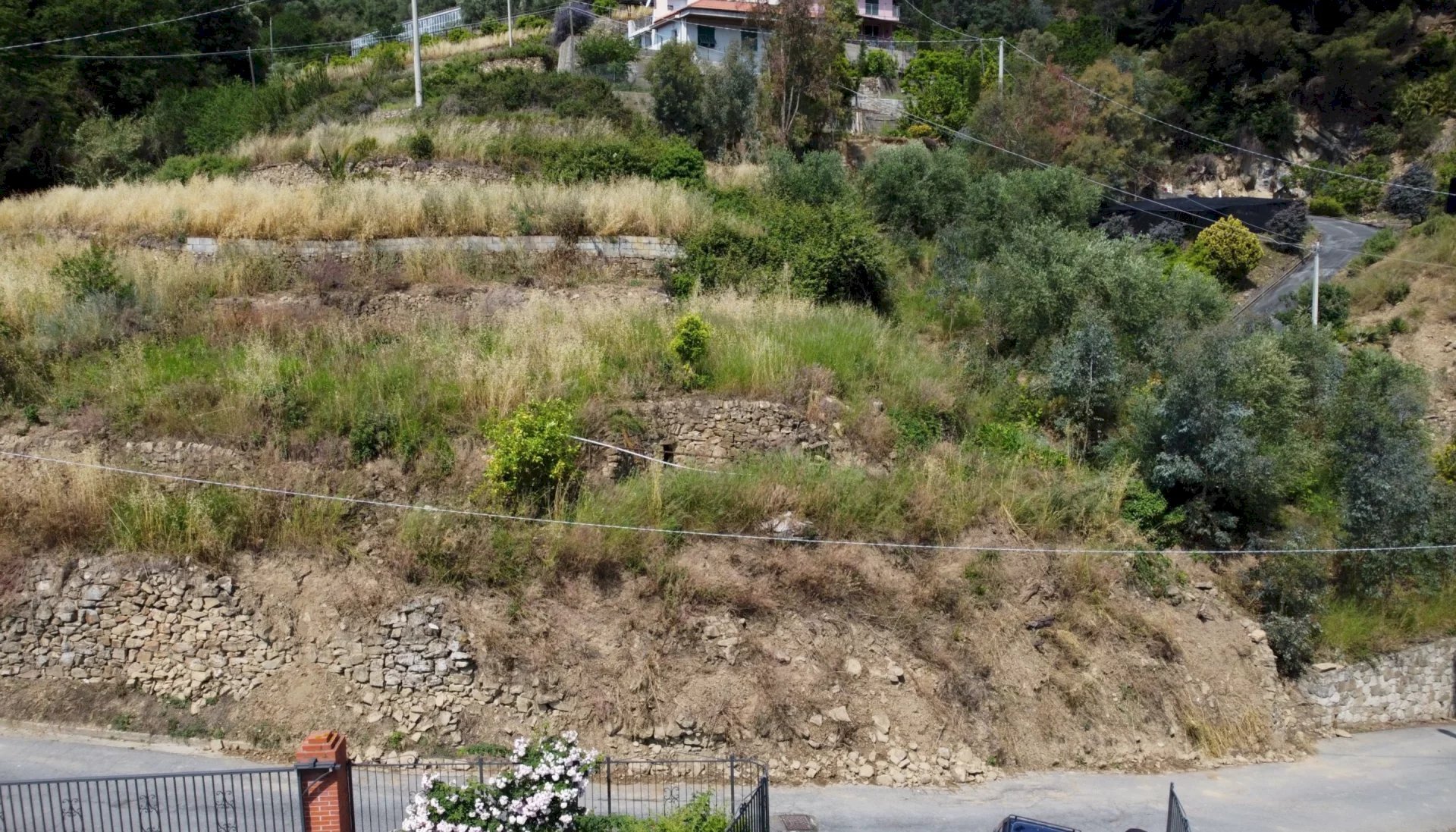Building land San Biagio della Cima - photo 2