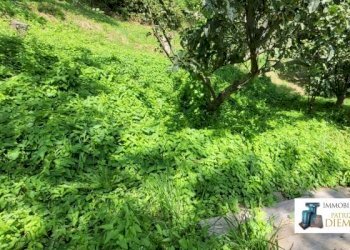 Trilocale frazione Savin, Gignod - foto 16